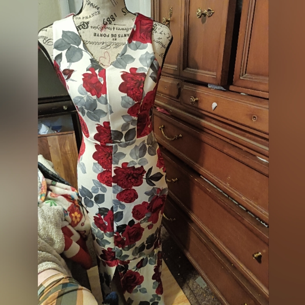 Women Rose Flower Dress By Sweet Storm Size 4